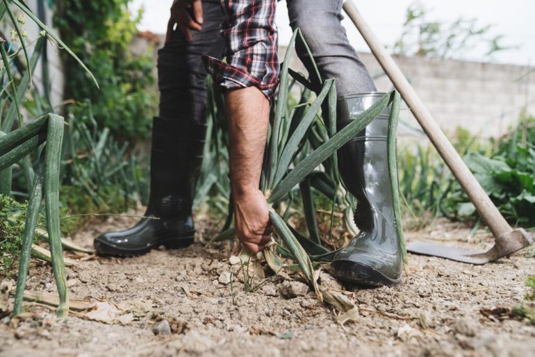 Guía para elegir el mejor calzado para jardinería